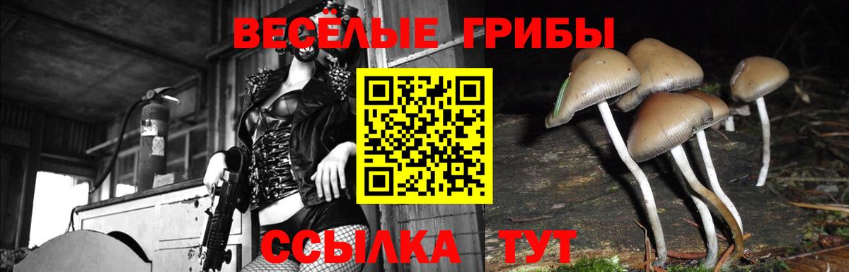 Меф кристаллы  Гашиш  МАРИХУАНА  Новоалександровск  Вход с VPN  A-PVP СК кристаллы 